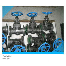 A105n ANSI Flanged Carbon Steel Forged Globe Valve